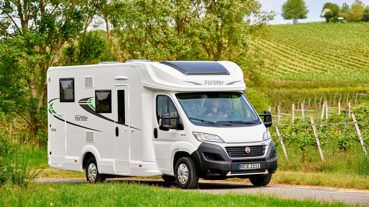 Forster T 699 EB im Wald